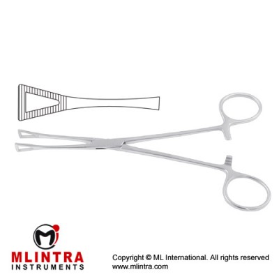 Pennington Organ Grasping Forcep Stainless Steel, 15.5 cm - 6"